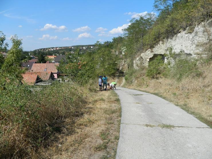 kép